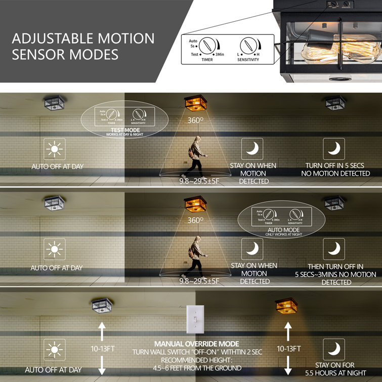 Matte Black 2-Light Outdoor Flush Mount with Clear Glass Shade