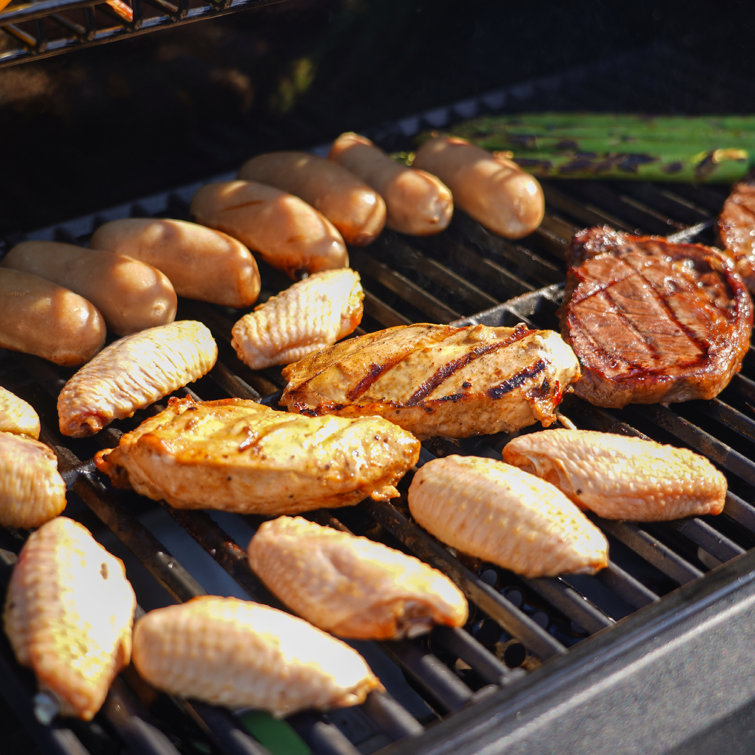 Mesa Black Stainless Steel 4-Burner Propane Gas Grill with Side Burner