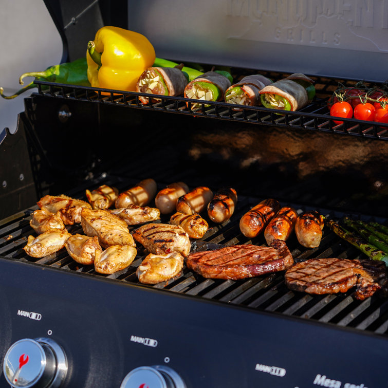 Mesa Black Stainless Steel 4-Burner Propane Gas Grill with Side Burner