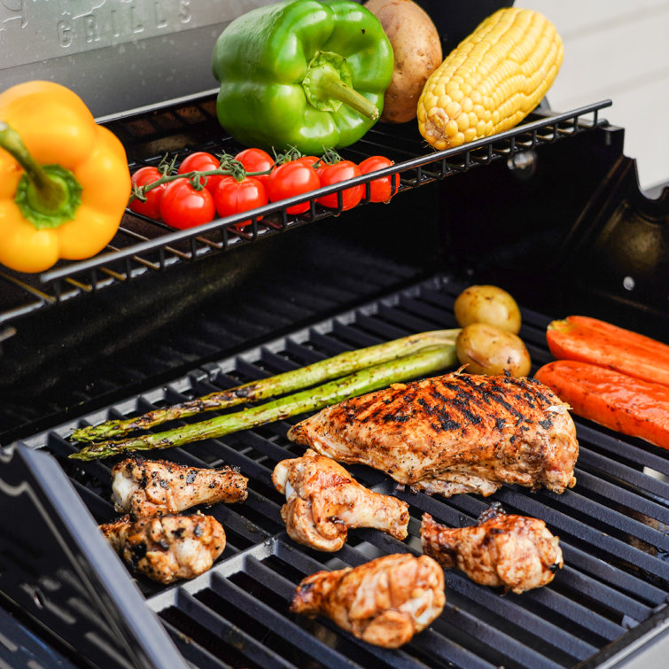 Mesa Black 2-Burner Stainless Steel Propane Gas Grill with LED Controls