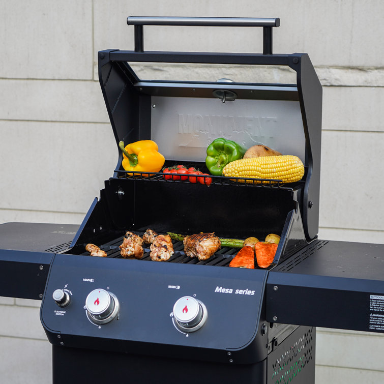 Mesa Black 2-Burner Stainless Steel Propane Gas Grill with LED Controls