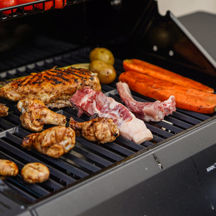 Mesa Black 2-Burner Stainless Steel Propane Gas Grill with LED Controls