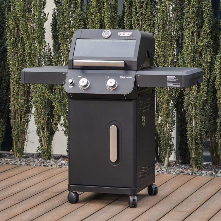 Mesa Black 2-Burner Stainless Steel Propane Gas Grill with LED Controls