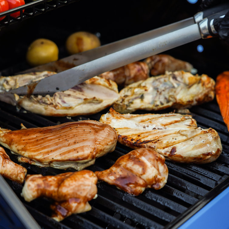 Blue 2-Burner Propane Gas Grill with Clear View Lid