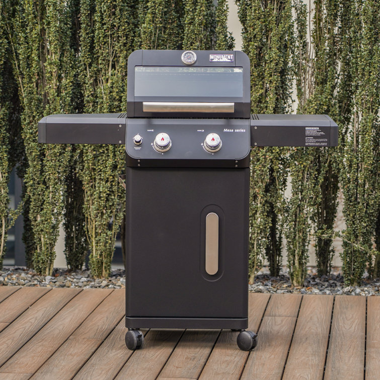 Mesa Black 2-Burner Stainless Steel Propane Gas Grill with LED Controls