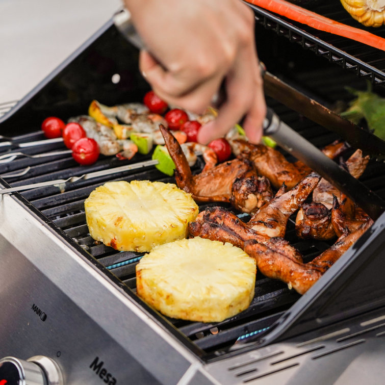 Mesa 2-Burner Stainless Steel Propane Gas Grill with LED Controls