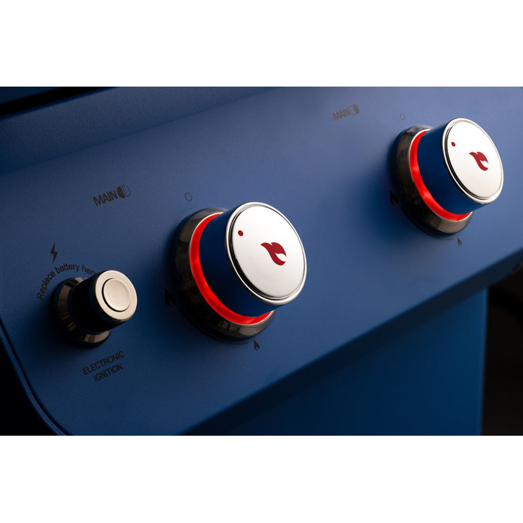 Blue 2-Burner Propane Gas Grill with Clear View Lid