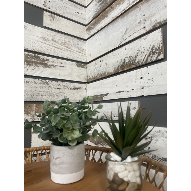 Vintage Harvest Whitewashed Barnwood Wall Paneling Kit