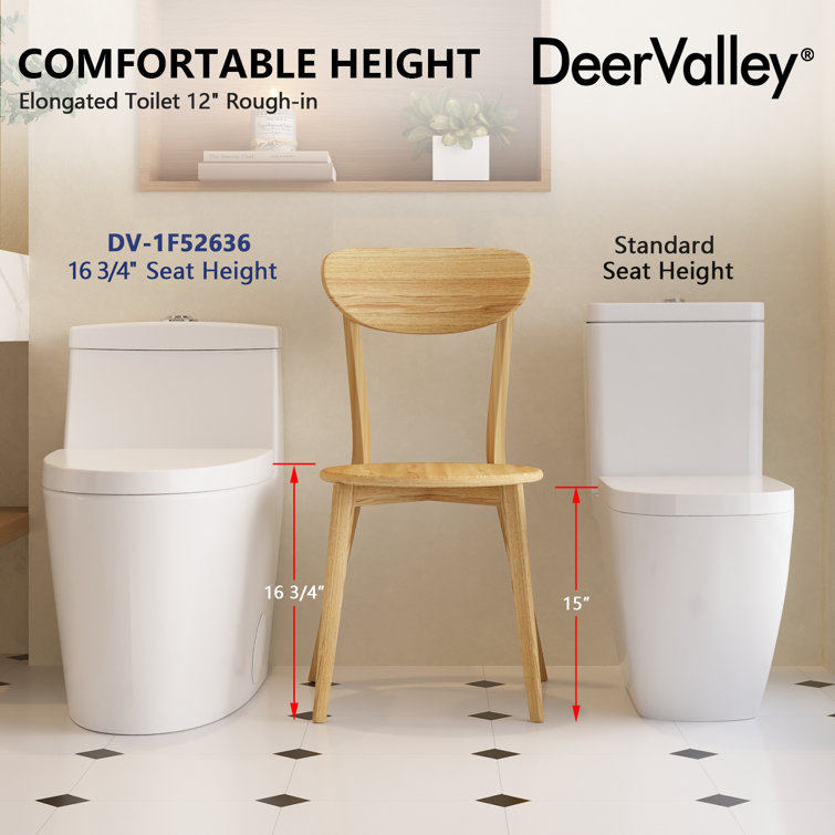 White Elongated Dual-Flush One-Piece Toilet with Silver Button