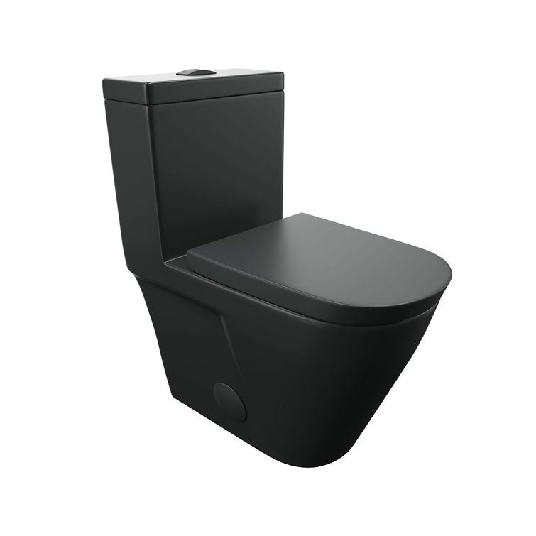 Turner Matte Black Elongated Dual Flush One-Piece Toilet