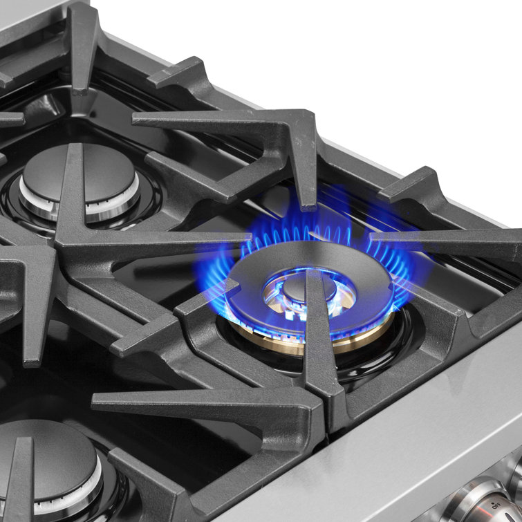 Massimo 48-inch Stainless Steel Dual Fuel Range with 8 Burners
