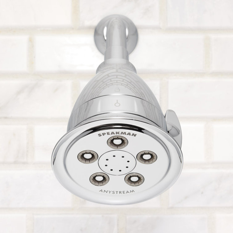 Polished Chrome Adjustable Shower Head with Filter and Jet Spray