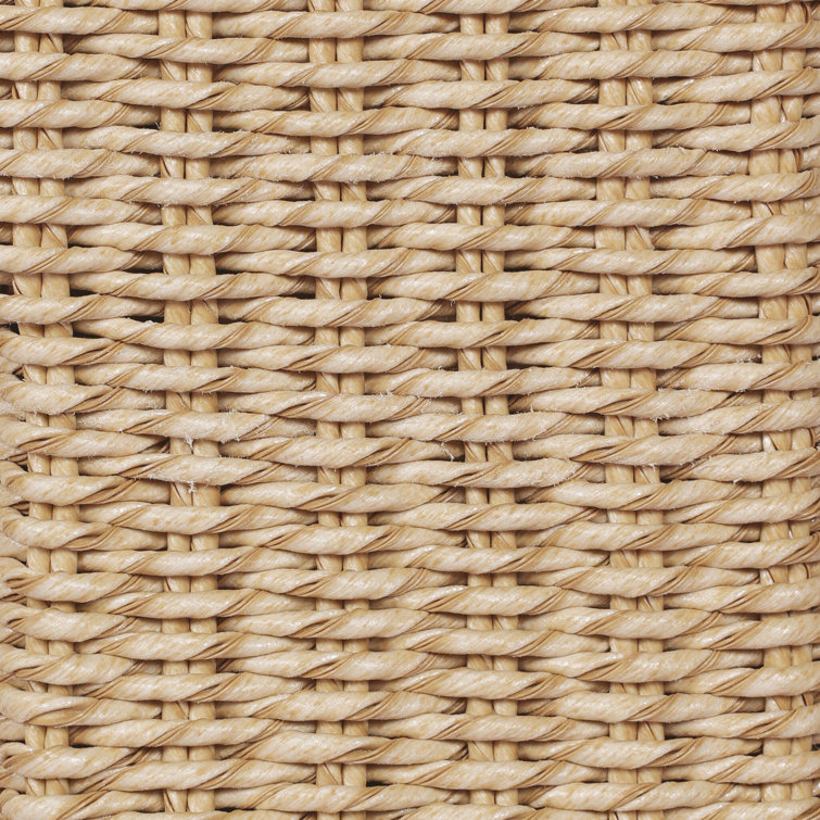 Beige Woven Arm Dining Chair with Cushions