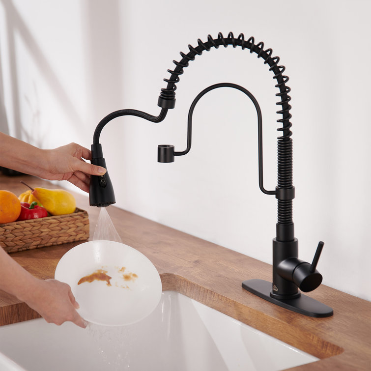 Matte Black Stainless Steel Pull-Down Kitchen Faucet with Spray