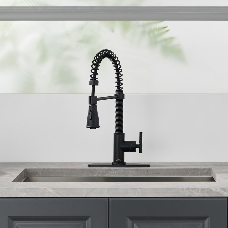 Matte Black Stainless Steel Pull Down Kitchen Faucet with Spray