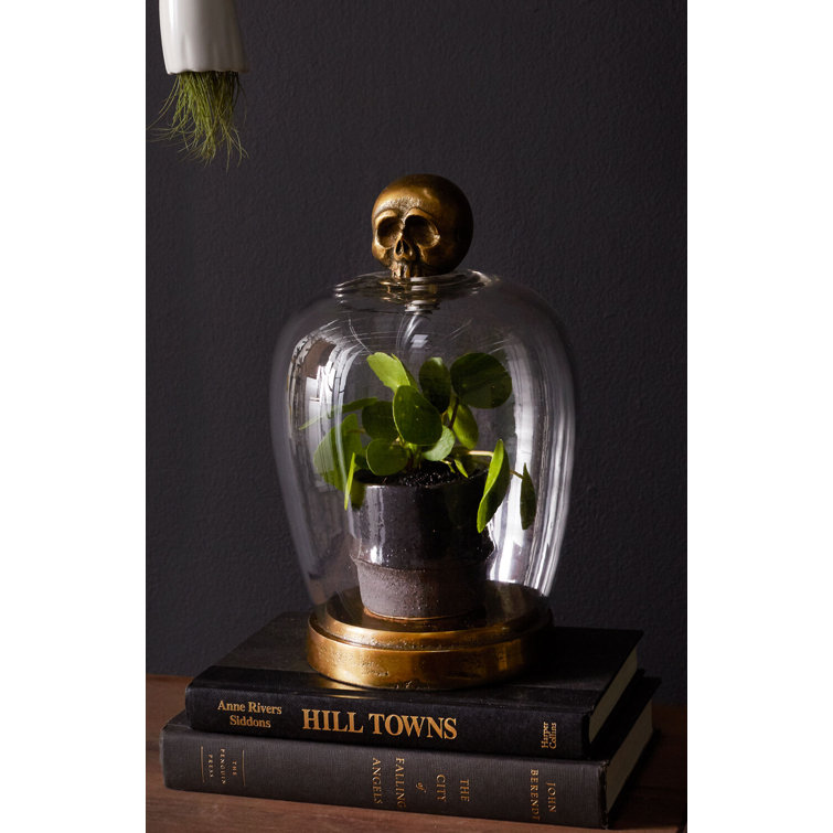 Antique Gold Skull Handle Glass Cloche
