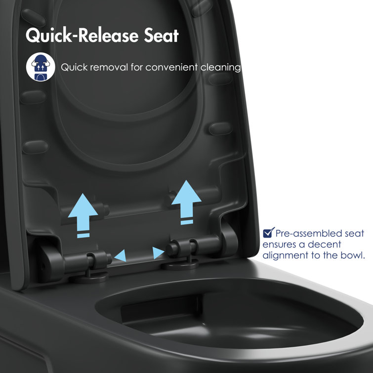 Turner Matte Black Elongated Dual Flush One-Piece Toilet
