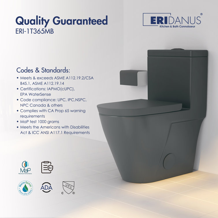 Turner Matte Black Elongated Dual Flush One-Piece Toilet