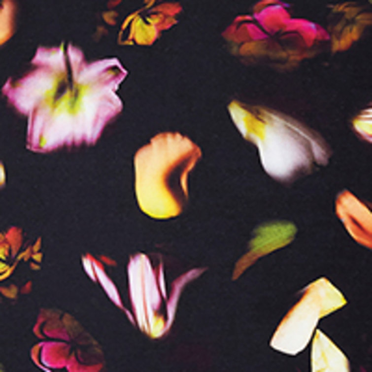 Full/Queen Black Cotton Floral Comforter Set
