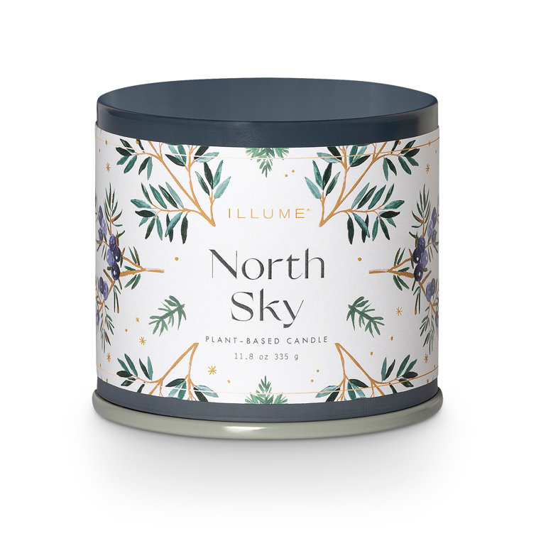 North Sky Black Soy Scented Candle in Crackle Glass