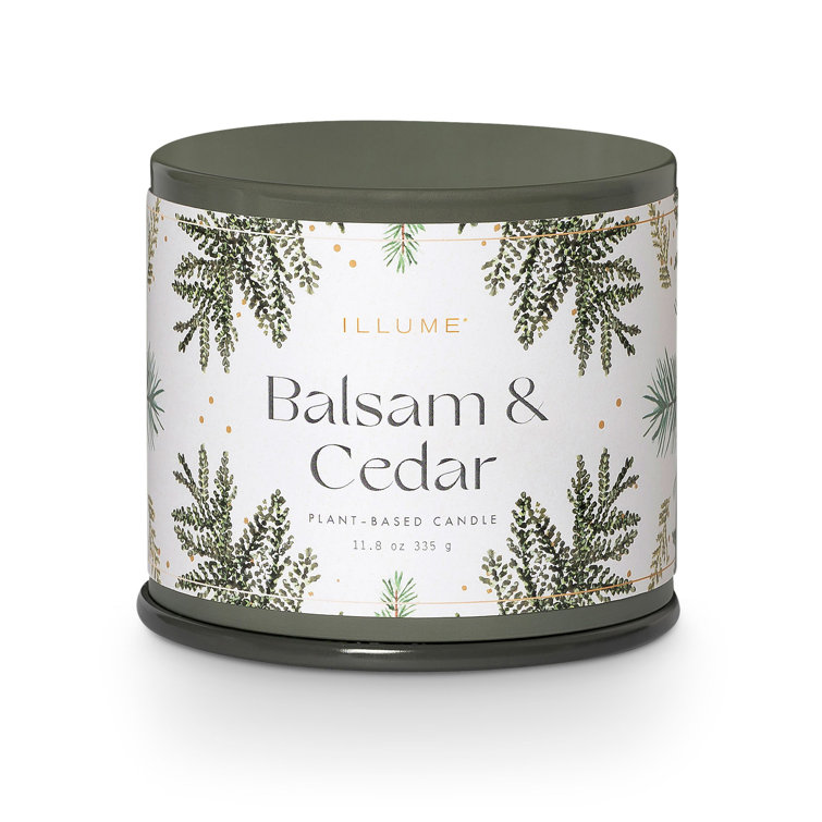 Green Winter Forest Soy Scented Candle in Tin