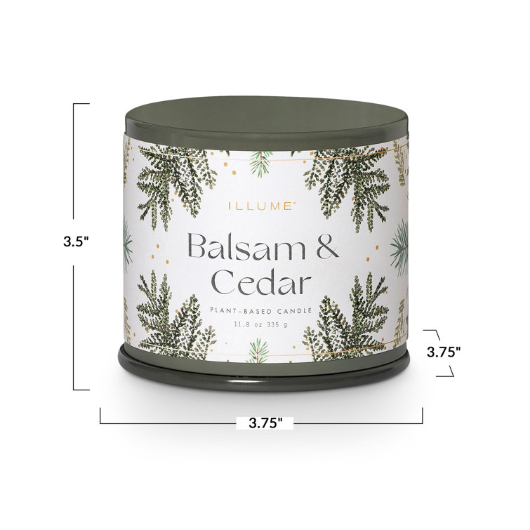Green Winter Forest Soy Scented Candle in Tin