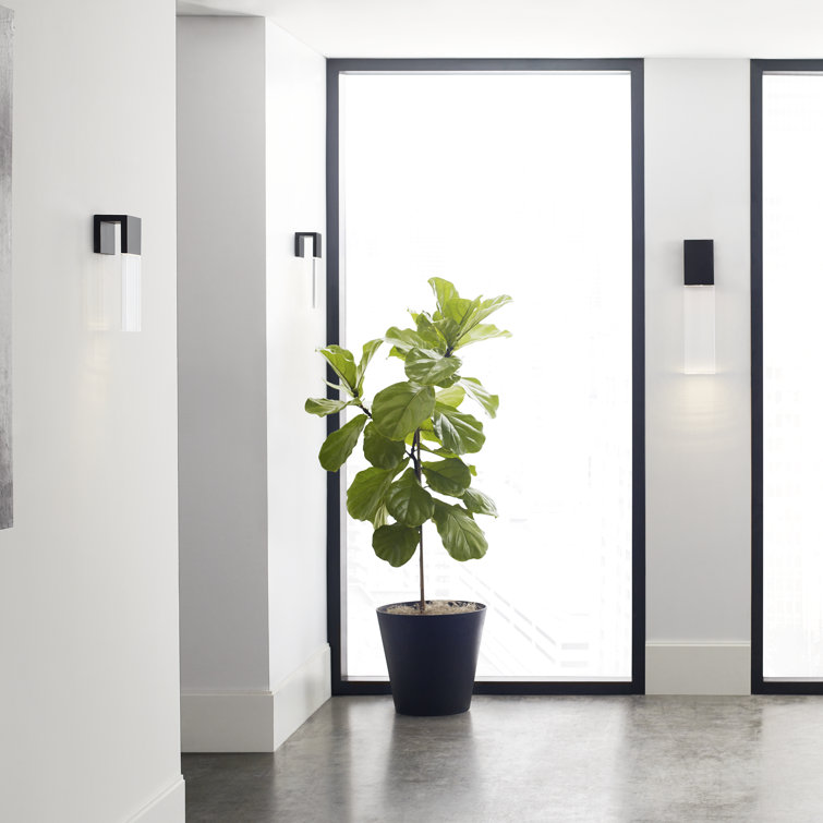 Black and Clear Glass LED Outdoor Wall Sconce