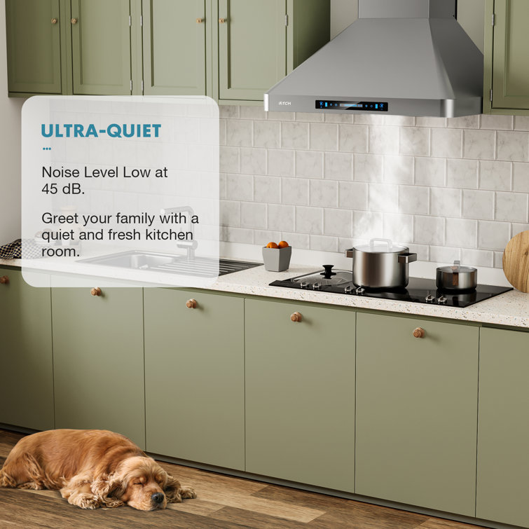 36'' Stainless Steel Convertible Wall Mount Range Hood with Charcoal Filter