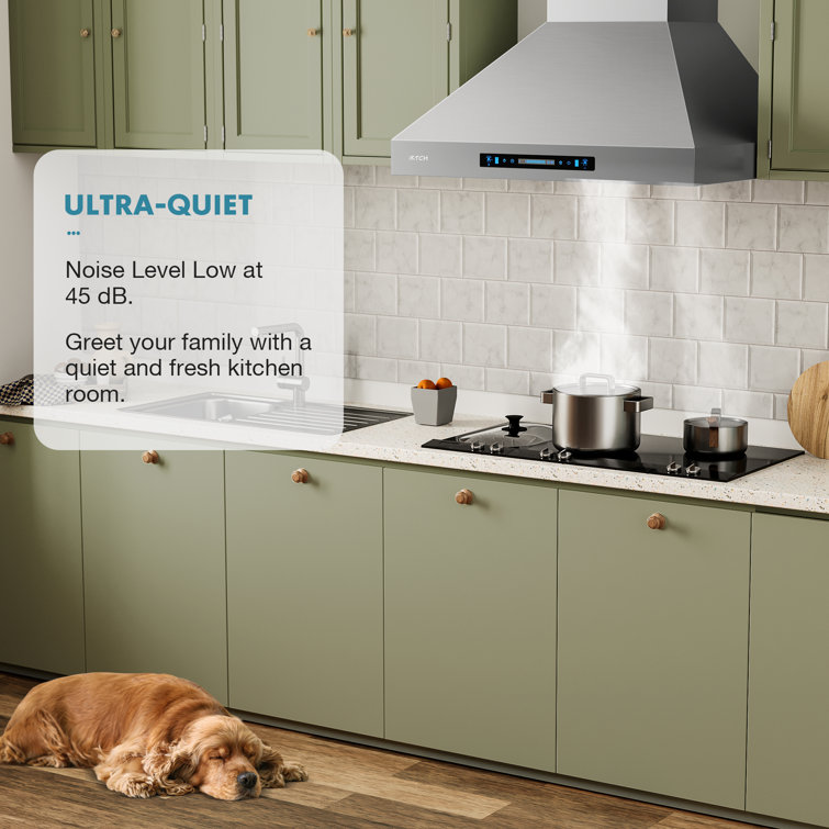 36'' Stainless Steel Convertible Wall Mount Range Hood with Charcoal Filter
