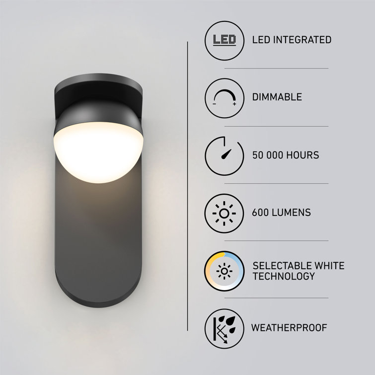 Matte Black Aluminum LED Wall Light with Frosted Plastic Lens