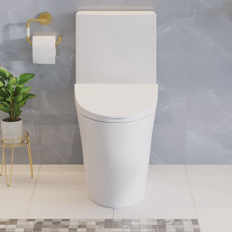 White Glossy One-Piece Elongated Dual Flush Toilet