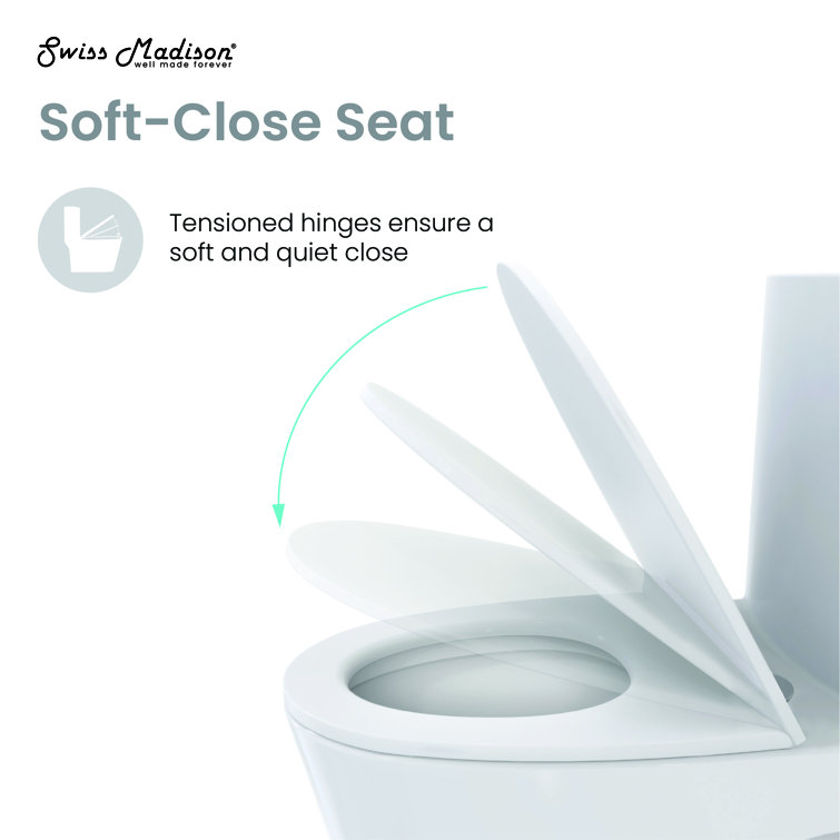 White Glossy One-Piece Elongated Dual Flush Toilet