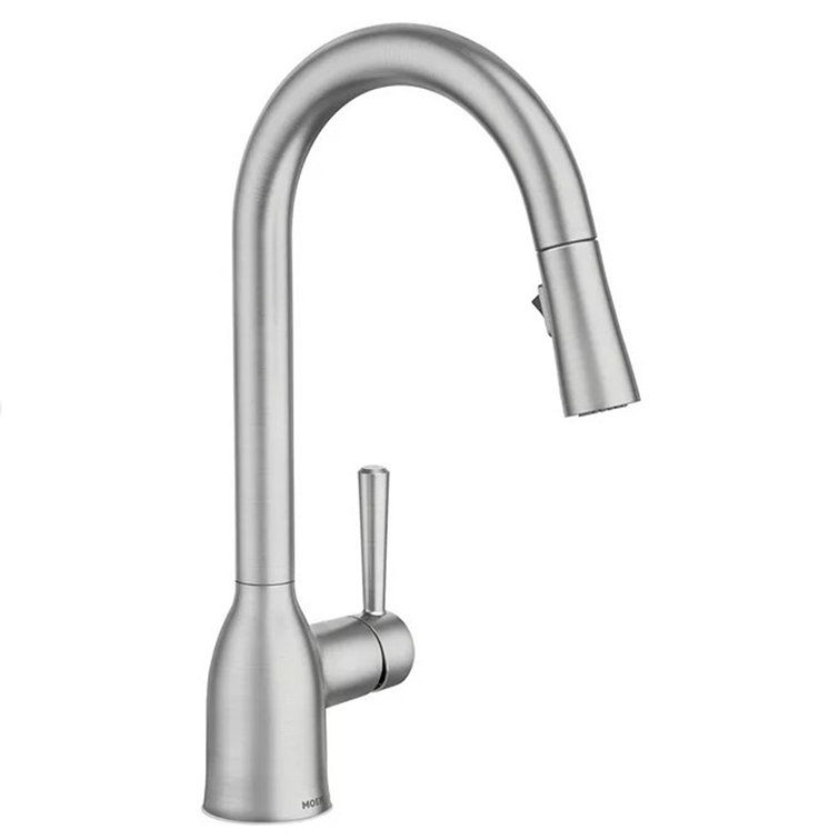 Adler Stainless Steel Pull-Down Kitchen Faucet with Spray
