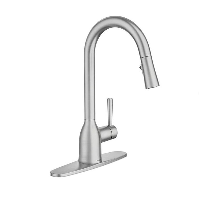 Adler Stainless Steel Pull-Down Kitchen Faucet with Spray