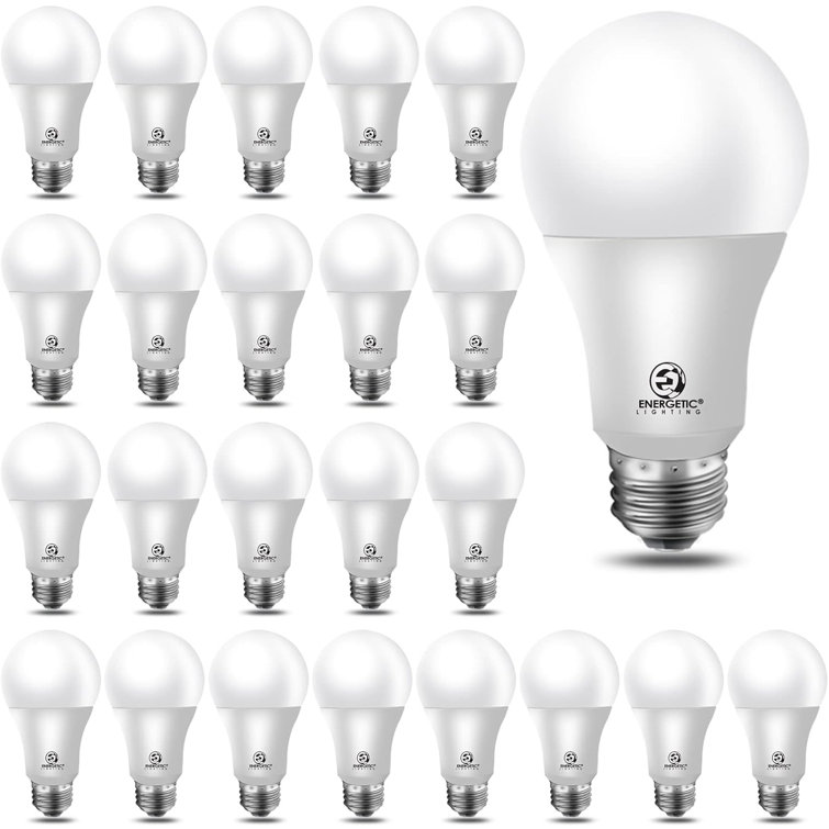 Energetic 24-Pack 5W Daylight White LED Globe Bulbs