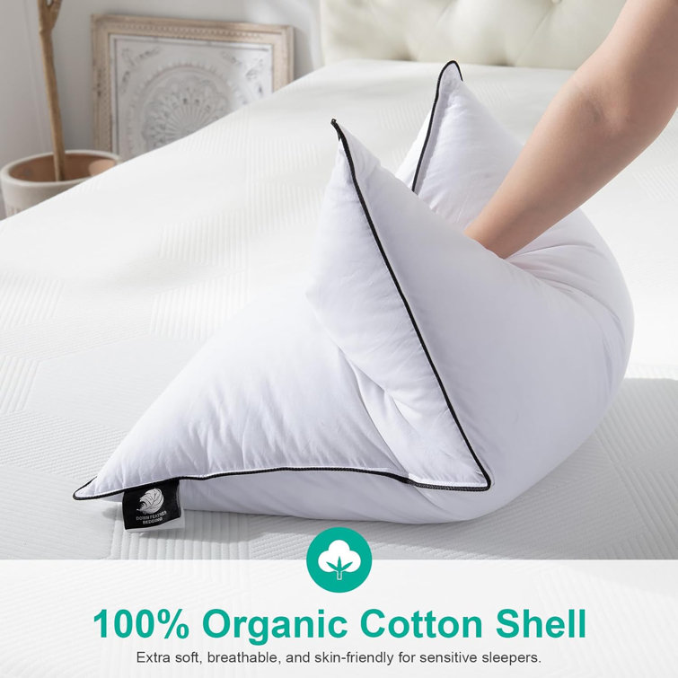 Standard White Cotton Goose Down Blend Pillow Set