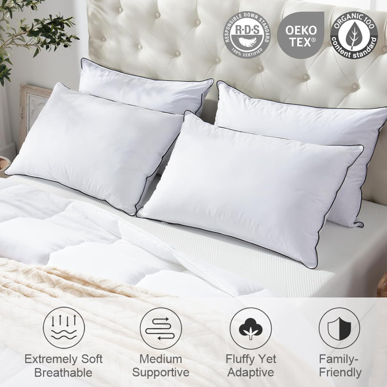 Standard White Cotton Goose Down Blend Pillow Set
