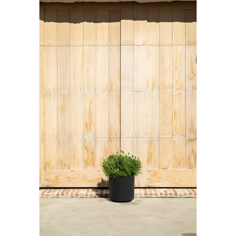 Black Fluted Plastic-Stone Round Planter Set