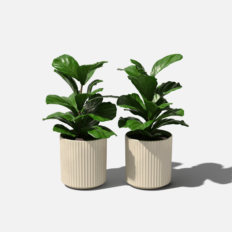 Sand Textured Plastic-Stone Composite Round Planter Set