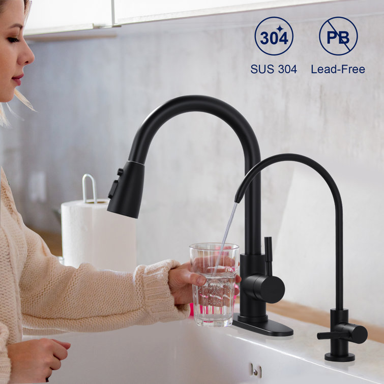 Matte Black Stainless Steel Pull-Down Kitchen Faucet with Water Filter