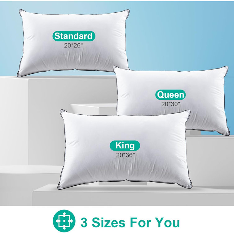 Standard White Cotton Goose Down Blend Pillow Set