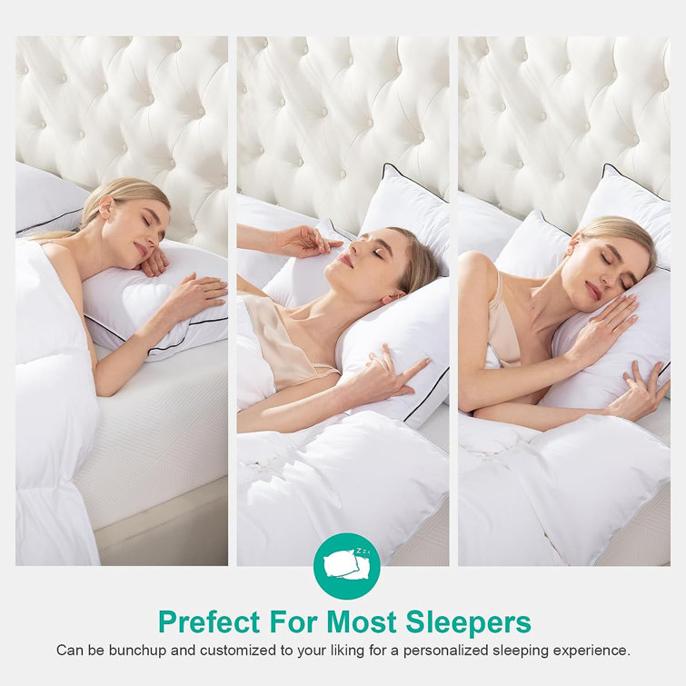 Standard White Cotton Goose Down Blend Pillow Set