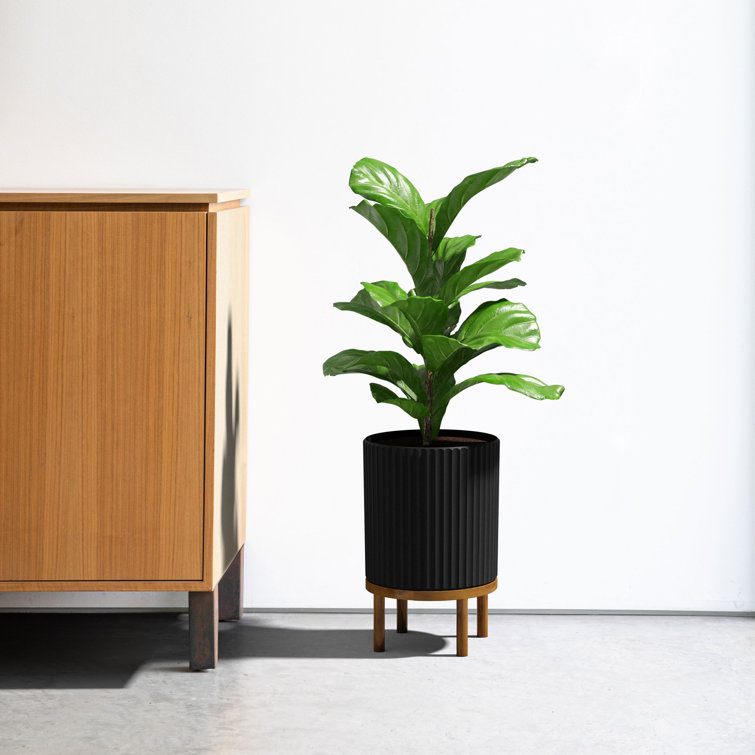 Demi Series 12" Black/Brown Planters with Acacia Wood Stand, Set of 2