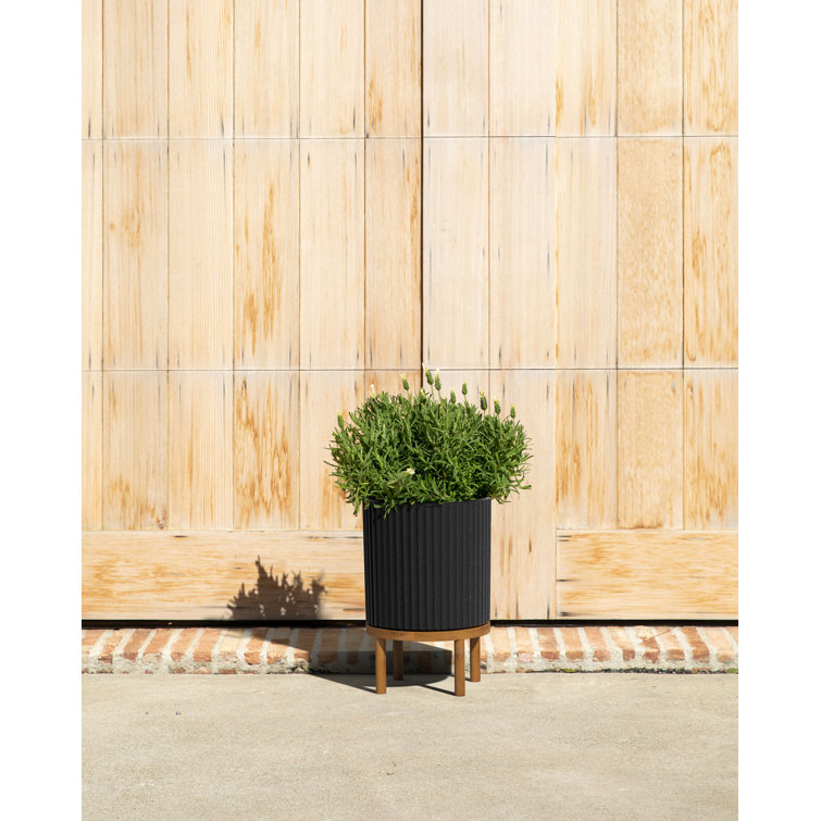 Demi Series 12" Black/Brown Planters with Acacia Wood Stand, Set of 2