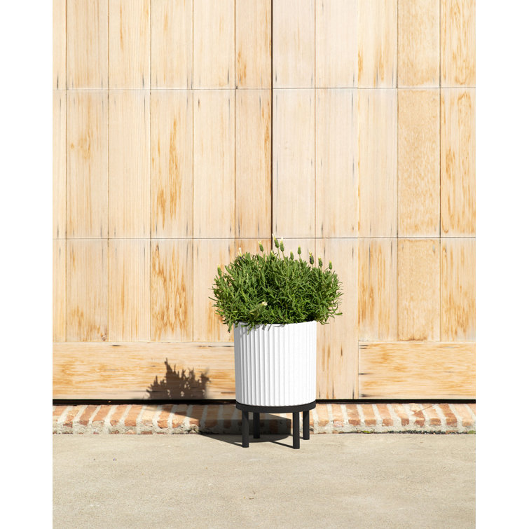 White and Black Fluted Planter with Acacia Wood Stand