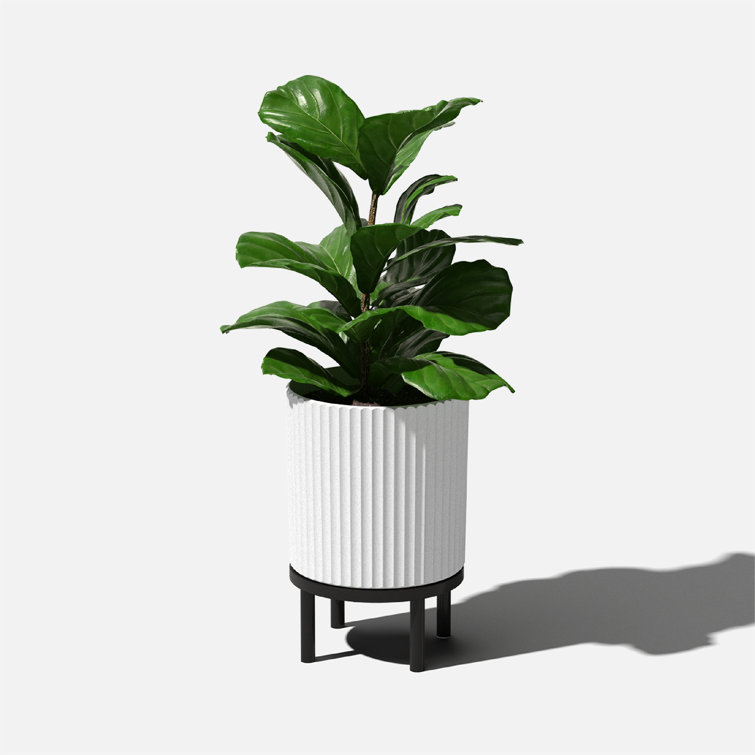 White and Black Fluted Planter with Acacia Wood Stand