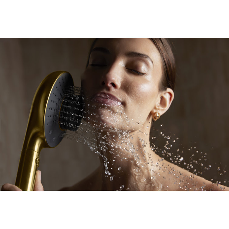 Polished Chrome Handheld Two-Function Showerhead with Cleansing Device