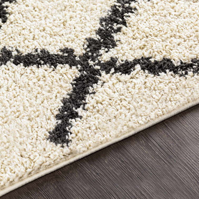 Beige and Black Braided Shag Rectangular Area Rug 5' x 7'