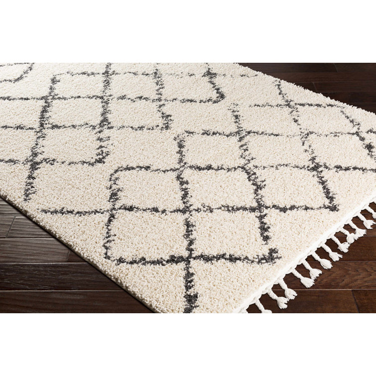 Beige and Black Braided Shag Rectangular Area Rug 5' x 7'