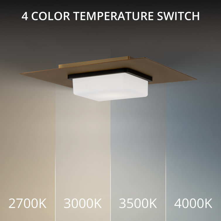 Brass and Glass LED Flush Mount Ceiling Light
